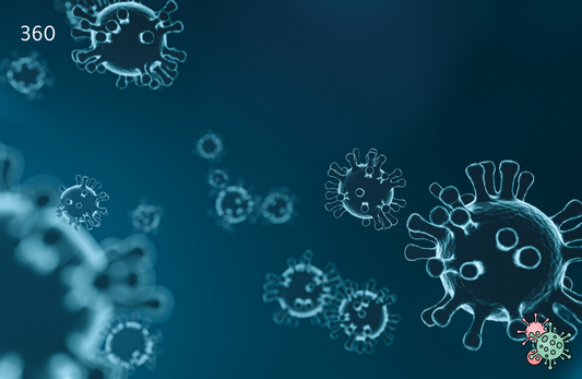 Echovirus IgG, Serum Test