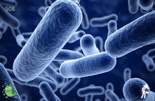 Legionella pneumophila IgG, Serum Test