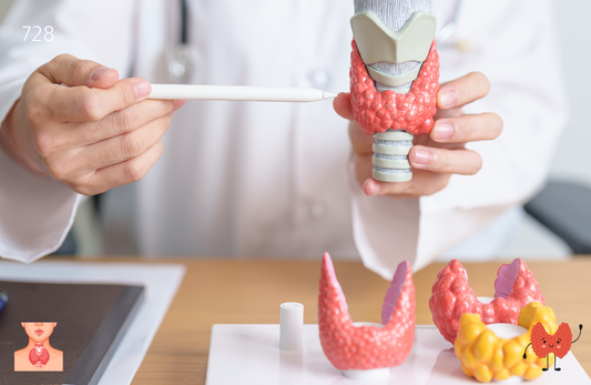 Triiodothyronine - Free - FT3 Test