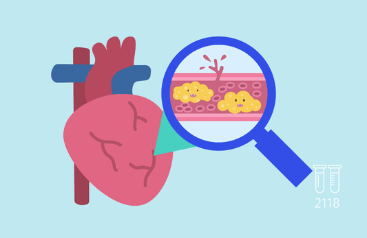 البروتين الدهني منخفض الكثافة (LDL)
