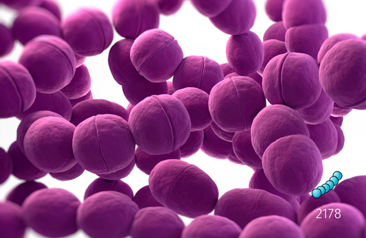 هيالورونيداز مضاد للمكورات العقدية