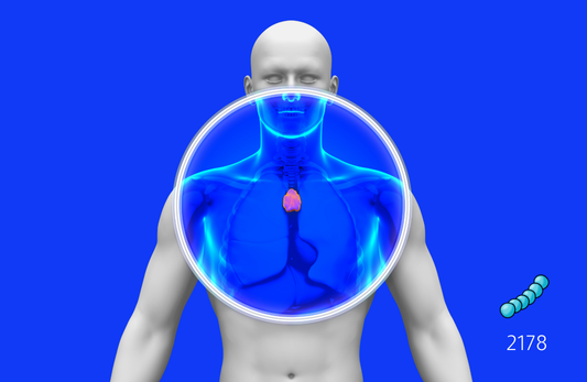 مضاد لعضلات البطن المخططة IFA