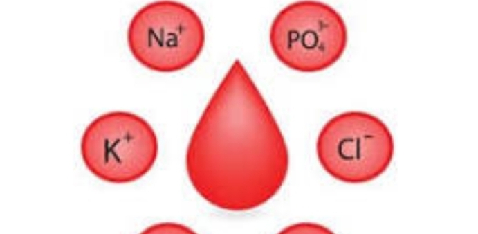 Electrolytes in Serum (Na-K-Mg-CL)