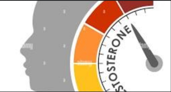 Testosterone - Free