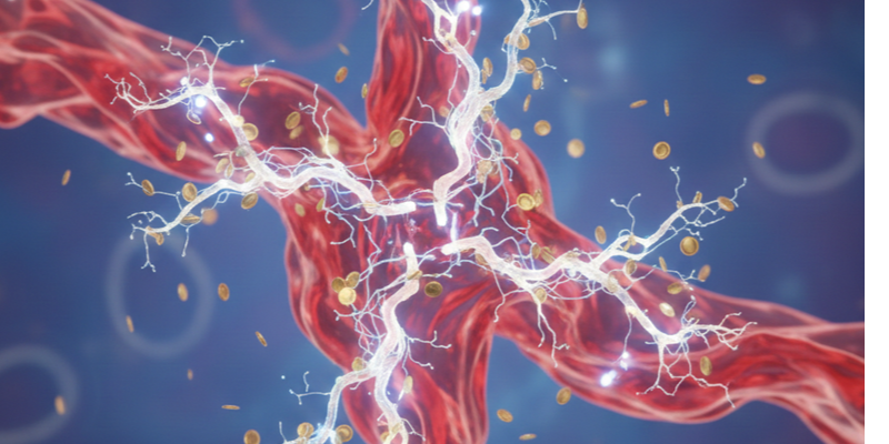 عامل فون ويلبراند (اختبار وظيفي)