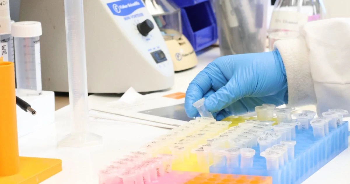 Immunohistochemistry: Interpretation and Consultation (16 Marker)