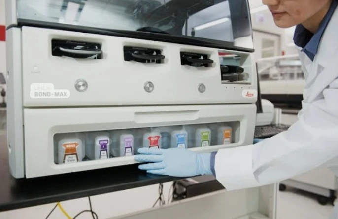 Immunohistochemistry Studies (15 Markers)