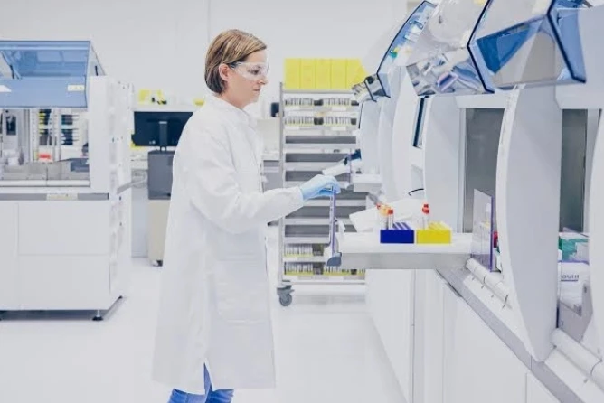 Immunohistochemistry Studies (13 Markers)