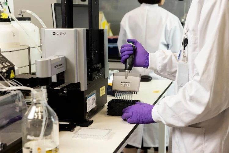 Immunohistochemistry Studies (12 Markers)