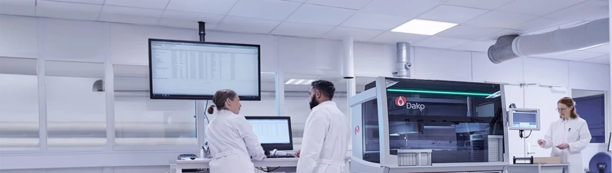 Immunohistochemistry Studies (10 Markers)