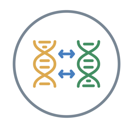 Whole Exome Sequencing (WES), Solo