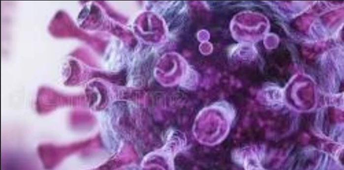 Qualitative (HCV) RNA by Real Time - PCR