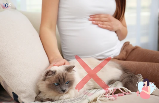 تحليل الأجسام المضادة لتوكسوبلازما IgG