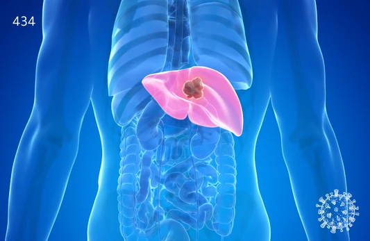 تحليل الأجسام المضادة لبروتين النواة لفيروس التهاب الكبد B