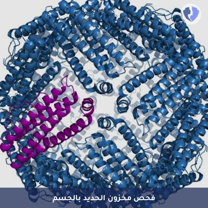 تحليل مخزون الحديد (Ferritin)