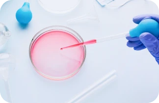 Fungal Culture, ID and AST