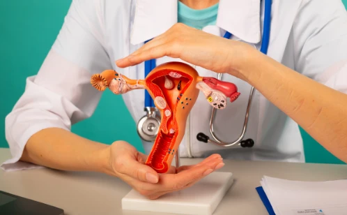 Vaginal Rejuvenation & Tightening