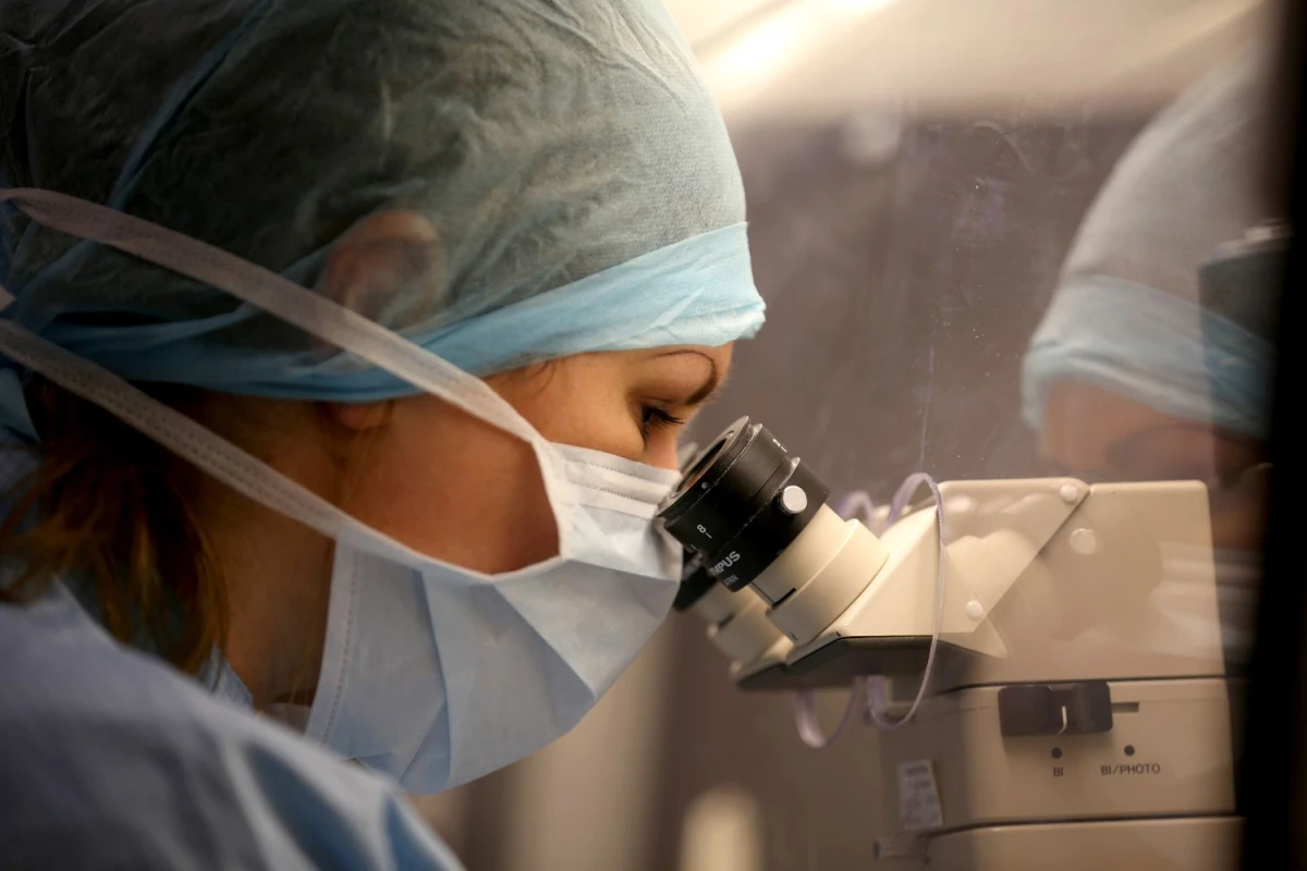 Immunohistochemistry: PR