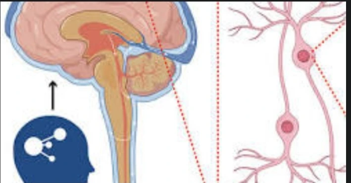 Neuron-Specific Enolase (NSE)