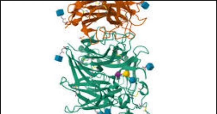 Mumps Virus, ABS-IgG, Serum