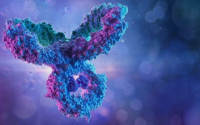 Dengue Virus, ABS-IgG