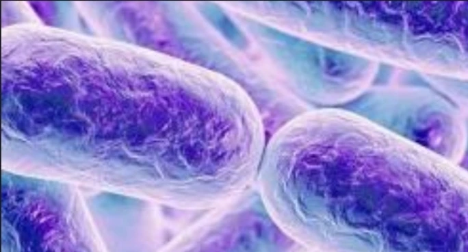 NonTuberculosis (NTB, Mycobacterium), PCR, Body Fluid