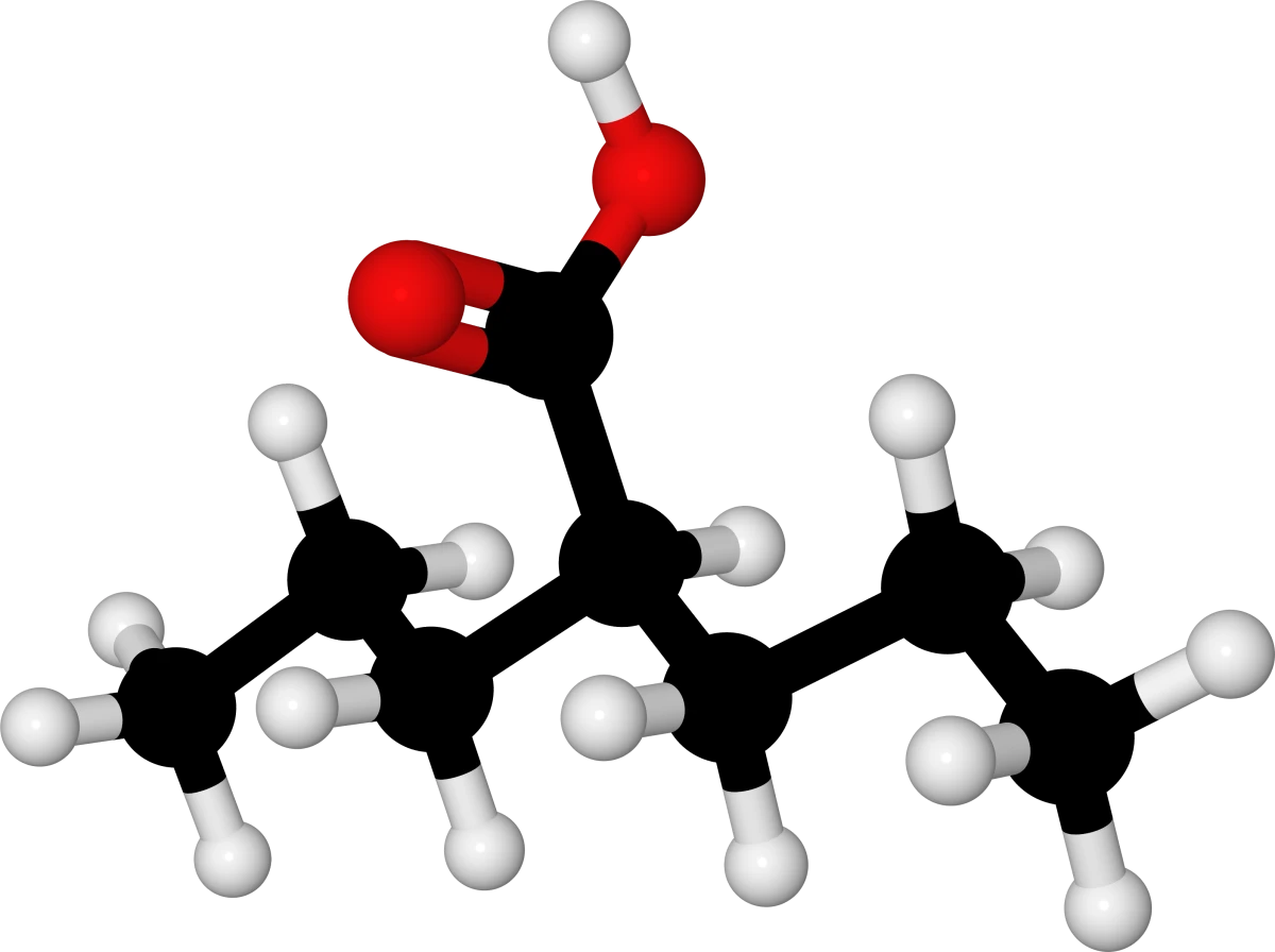Valproic Acid - Depakene