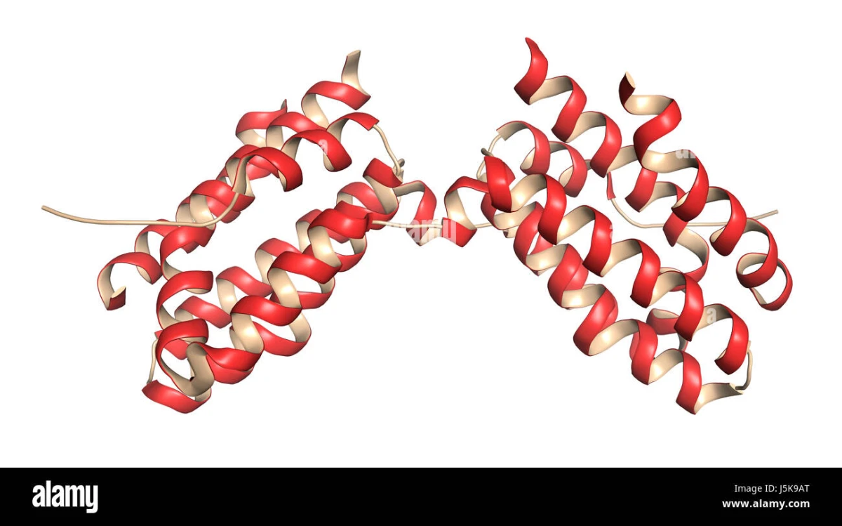 Interleukin-10 (IL-10)