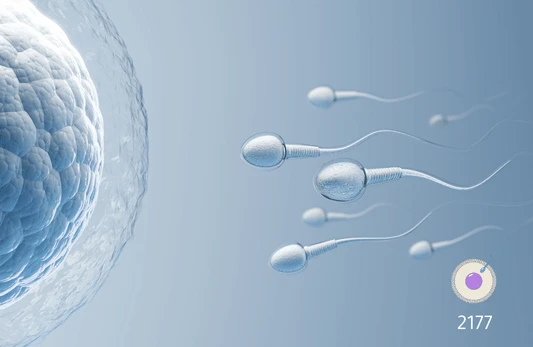 الأجسام المضادة للحيوانات المنوية في المصل