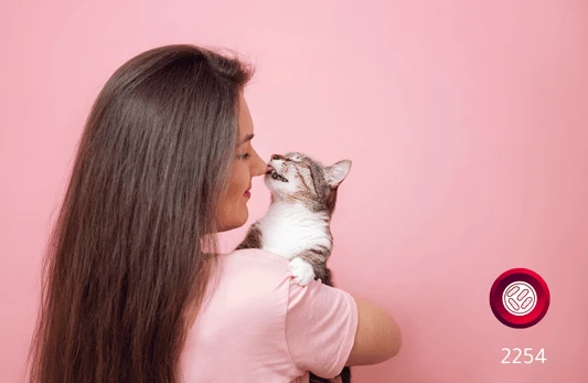 الأجسام المضادة IgG و IgM لأنواع بارتونيلا (لكل نوع)