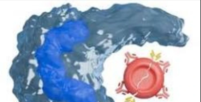 Direct Coombs' Test (DAT)