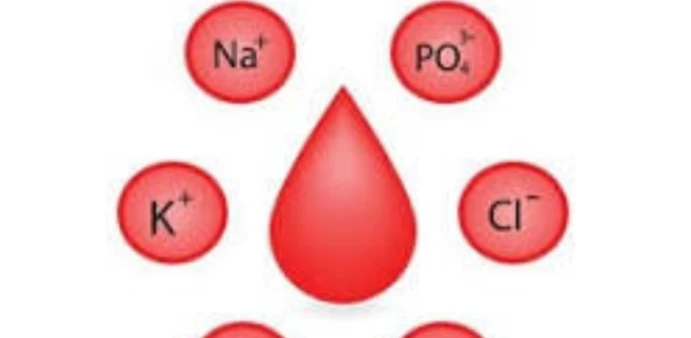 Electrolytes in Serum (Na-K-Mg-CL)
