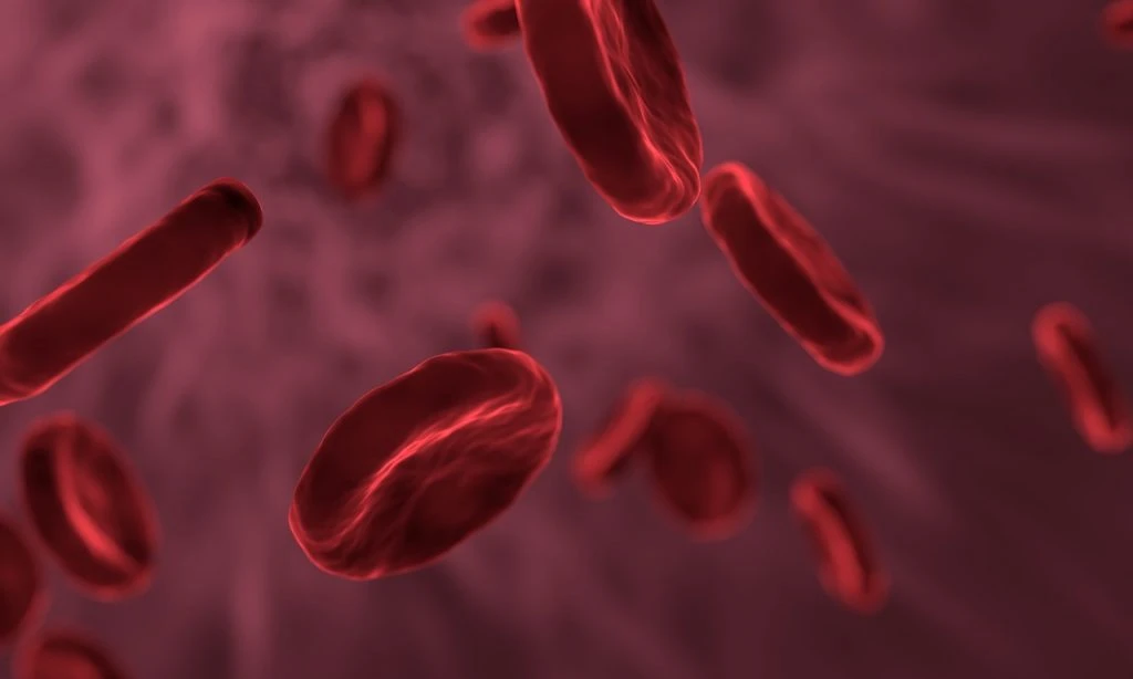 Folic Acid in Erythrocytes