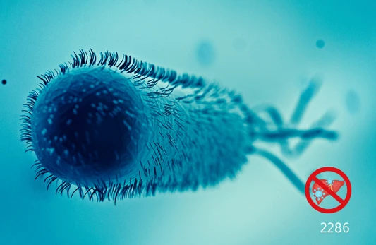 الأجسام المضادة لفيروس التهاب الكبد الوبائي هـ (HEV)