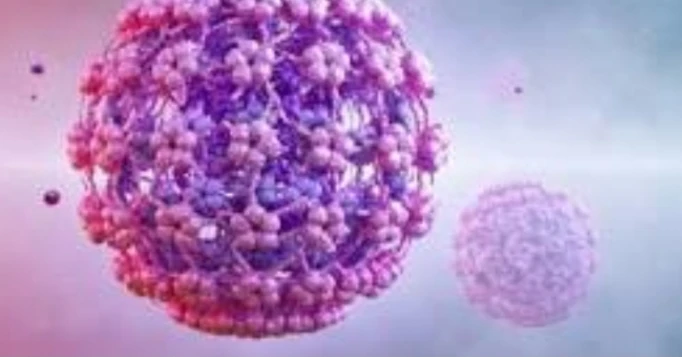 High Risk -Human Papilloma Virus (HPV) by PCR