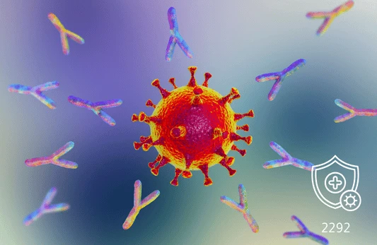 الغلوبولين المناعي G (IgG) 4 فئات فرعية