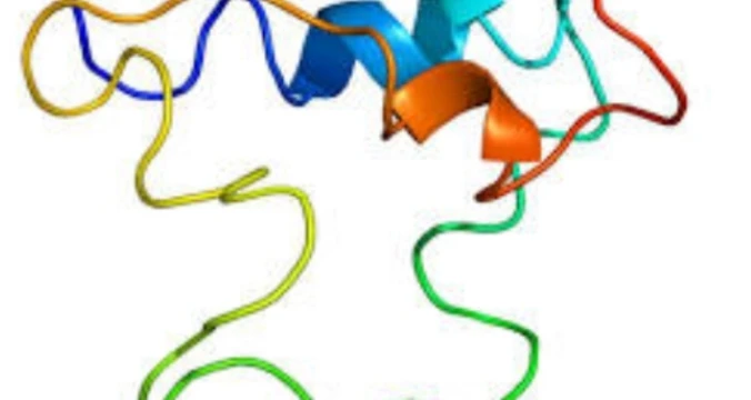 Insulin like Growth Factor 1 (IGF-1)