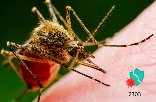 مضادات الملاريا