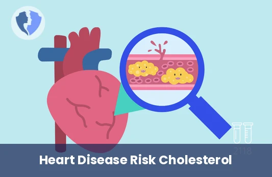 Low-Density Lipoprotein (LDL) Cholesterol Test