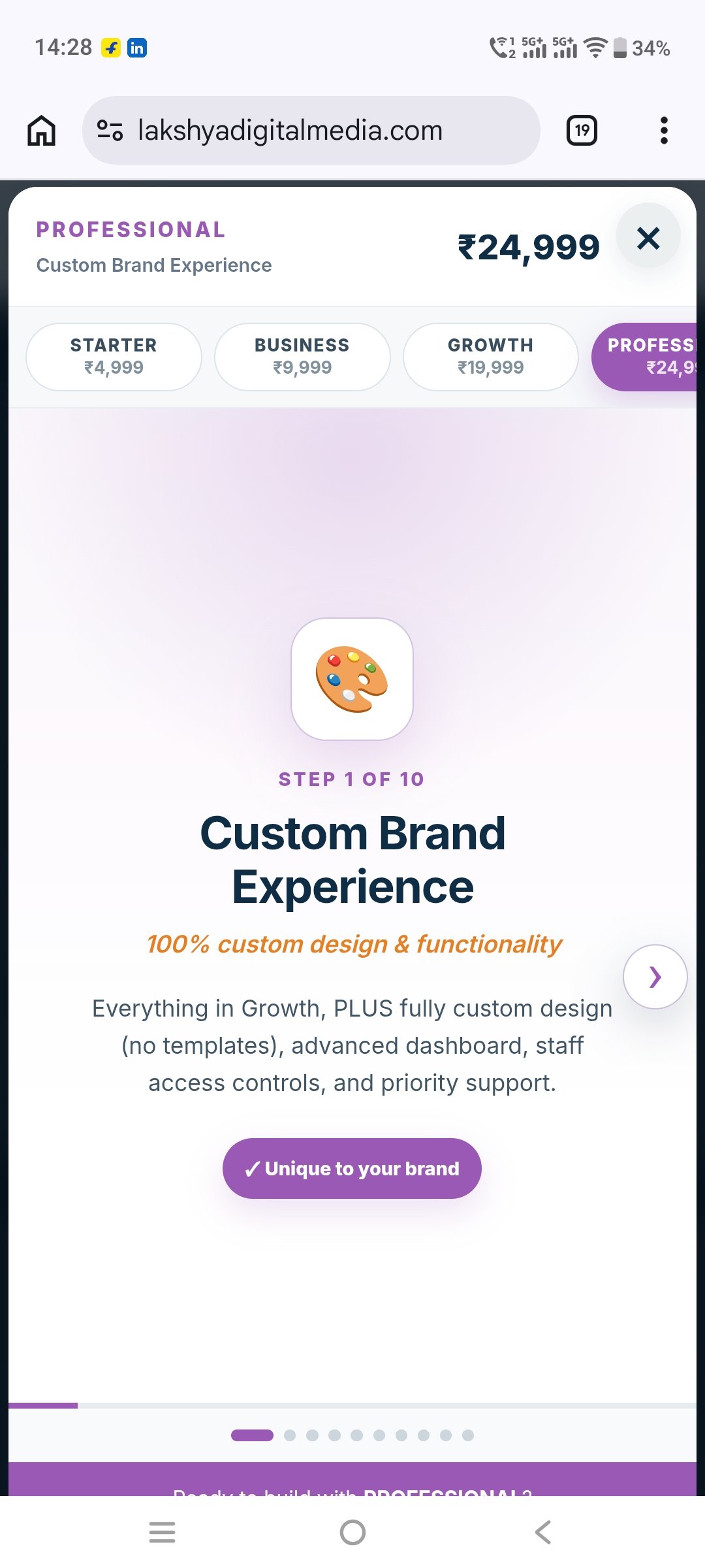 Website Professional Plan