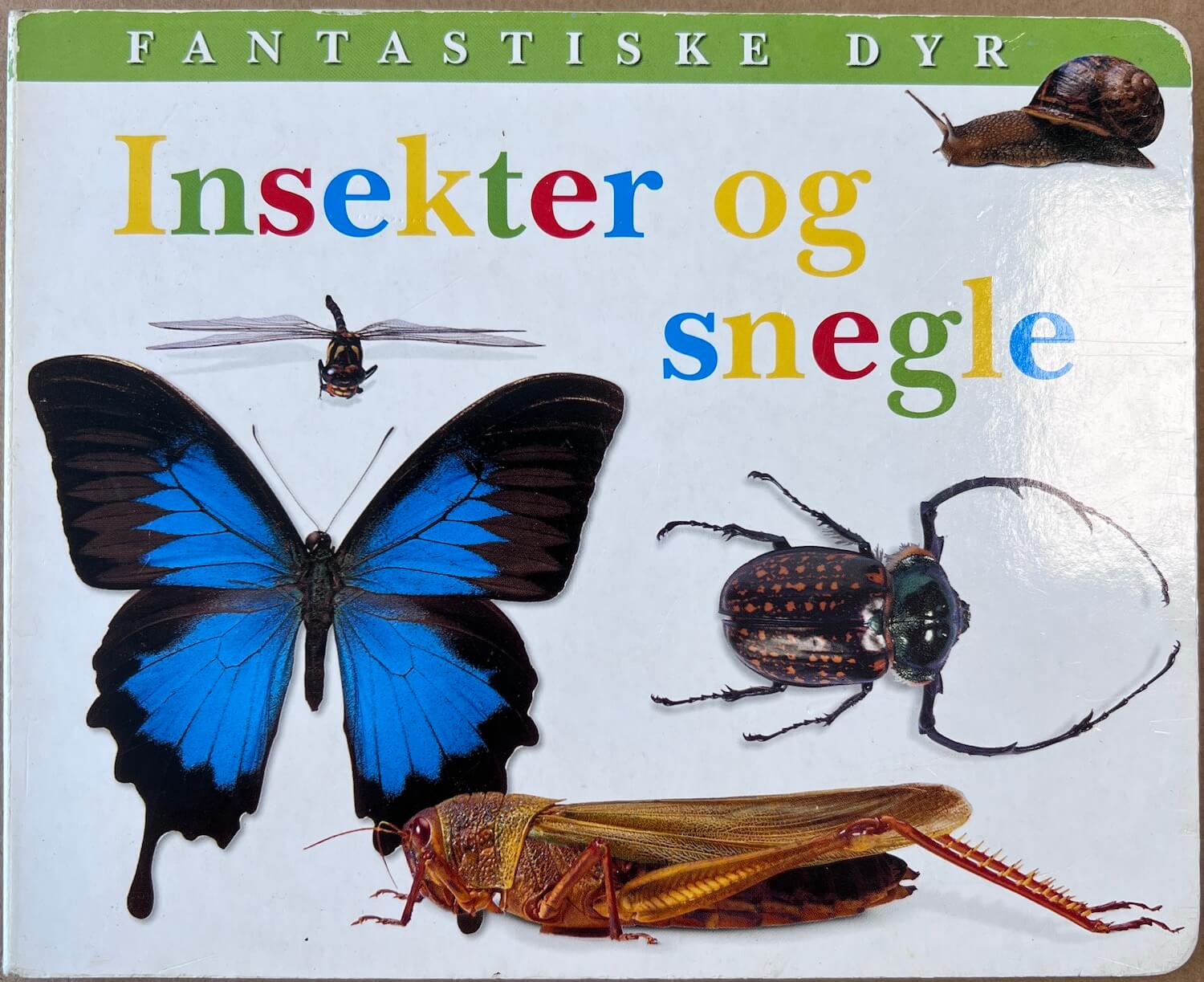 Insekter og snegle