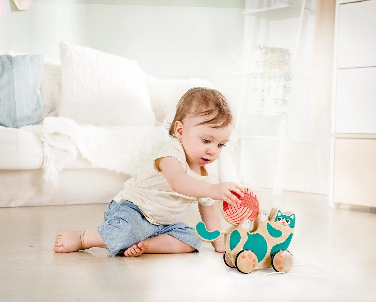 Hape - Roll & Rattle Killing