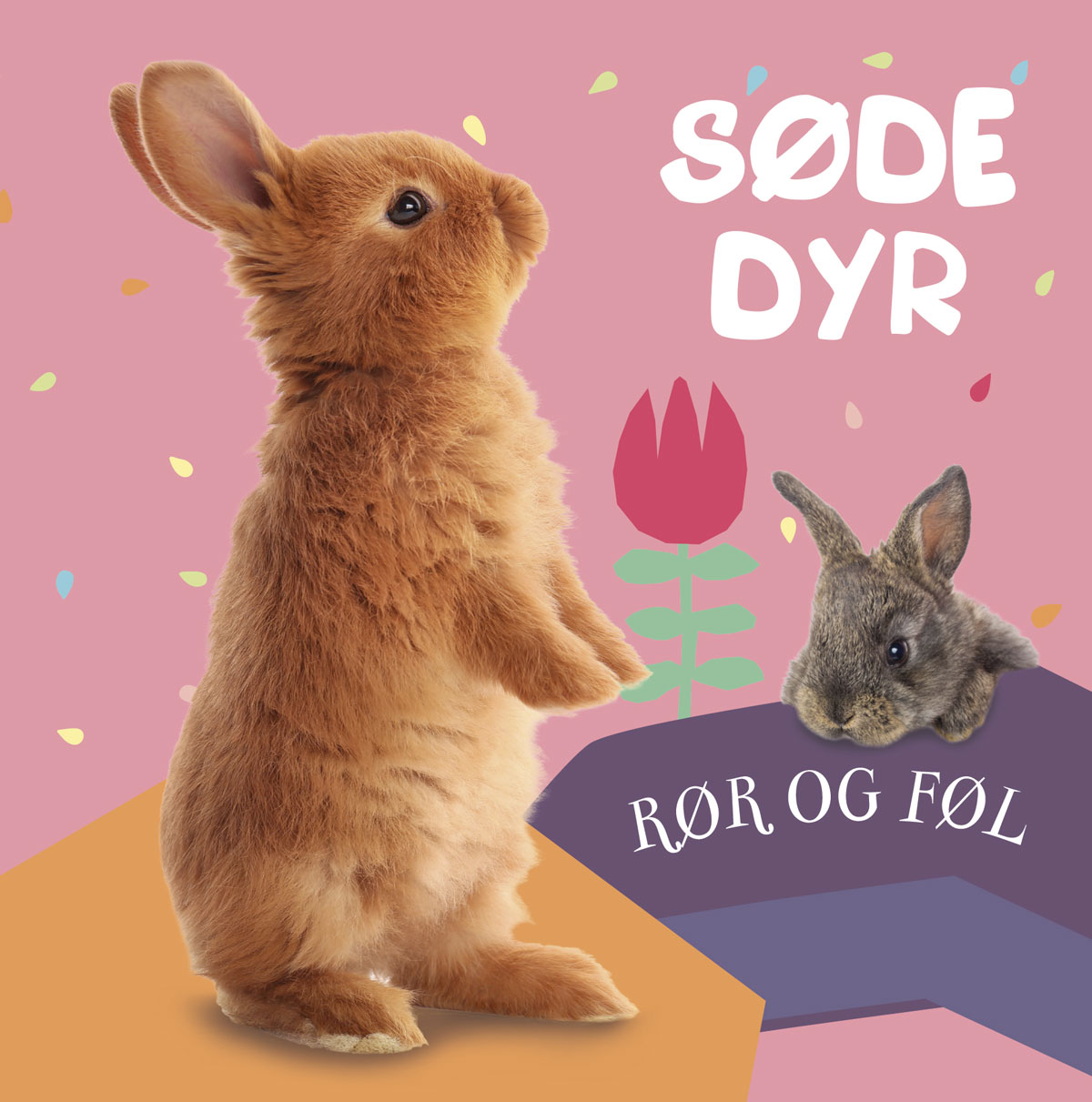 Rør og føl – Søde dyr