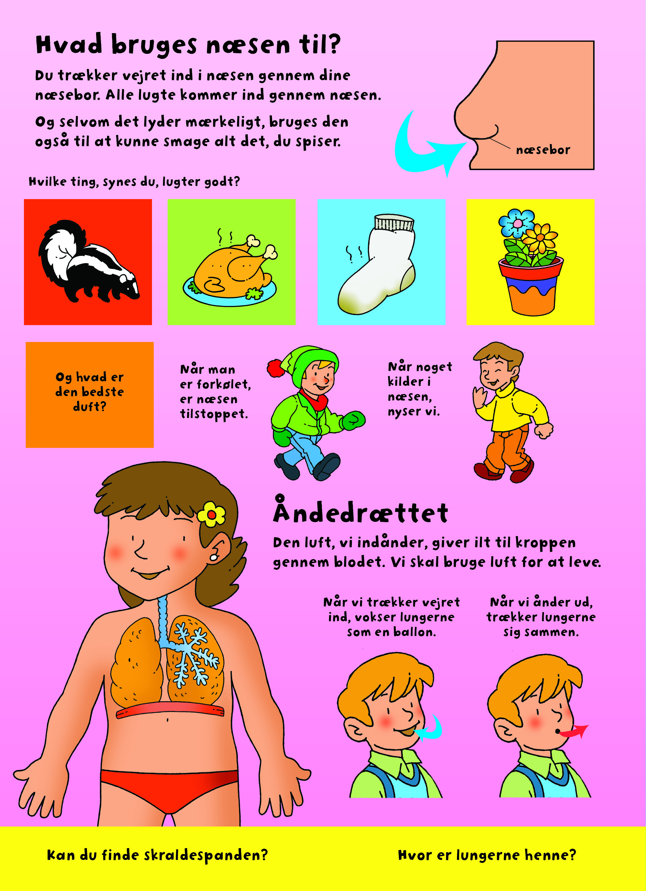Den store flapbog: Kroppen