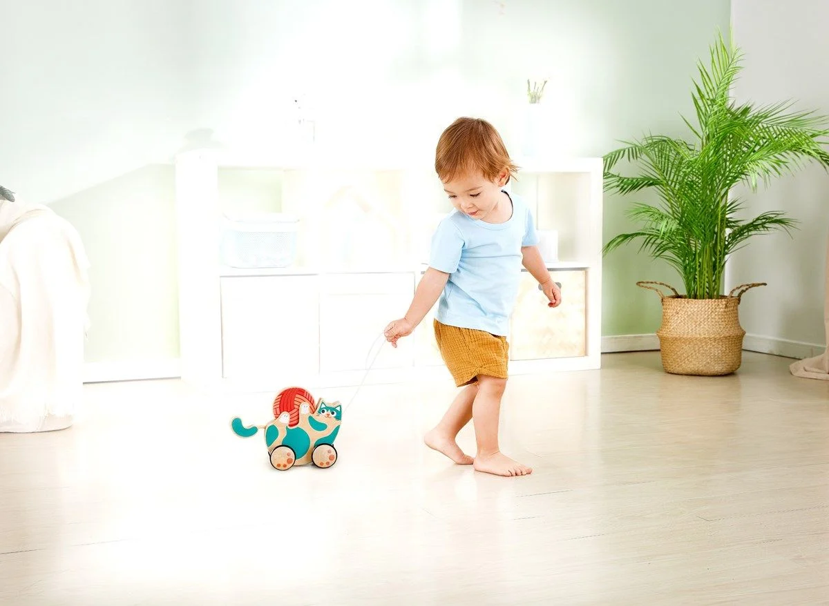 Hape - Roll & Rattle Killing