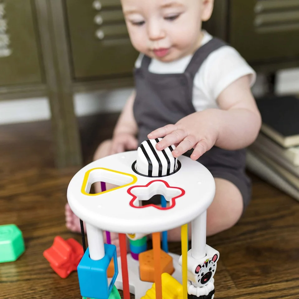 Baby Einstein - Zen & Cal’s Playground™ sensorisk sorterings-legetøj