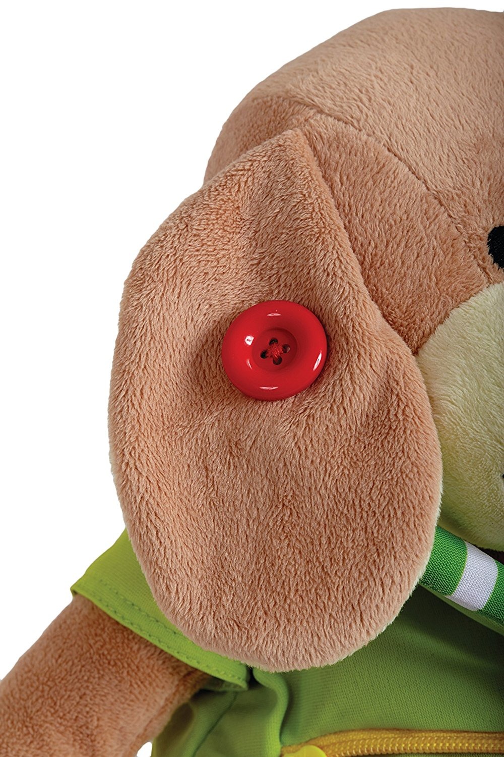 Dr. Pooch