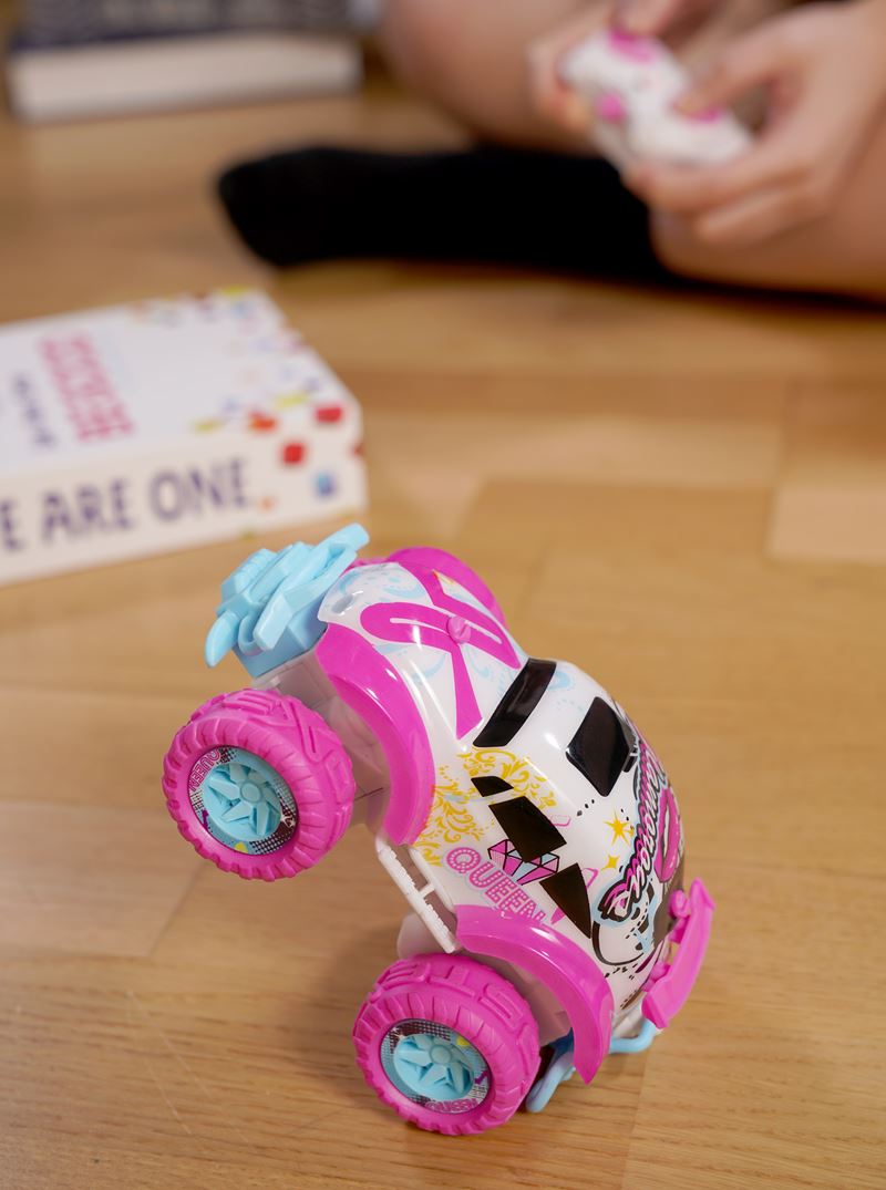 Exost Mini Pixie RC