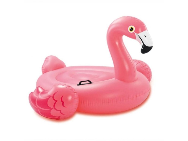 Kæmpe Flamingo