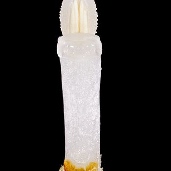 Cephalanthera longifolia